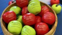 Bowl of apple stress balls.
